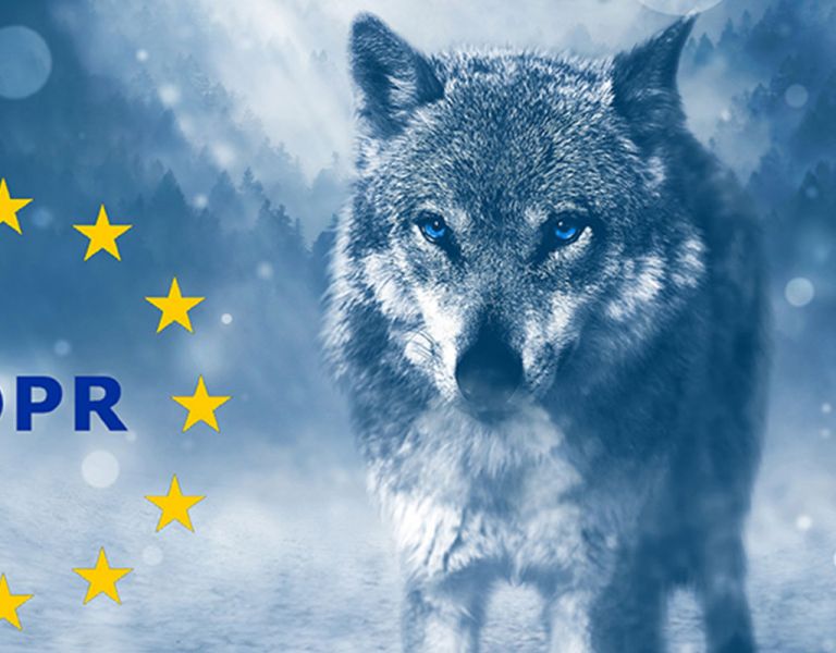 Keeping The GDPR Wolf At Bay With A System Healthcheck